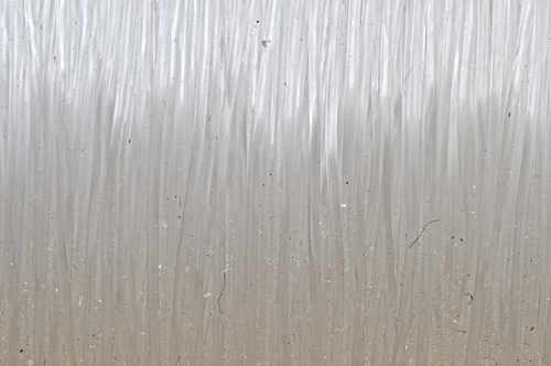 monofilament fishing line for beginners